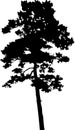 Isolated tree - 13. Silhouette