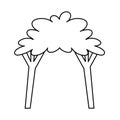 Isolated tree Belen draw vector illustration