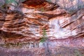 Isolated Tree Growing on Red Rock Cliff Royalty Free Stock Photo