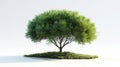 Isolated Tree Illustration in 3D Rendering