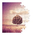 Isolated tree in a Tuscany wheatfield in shape of puzzle - Tuscany - Italy - toned image Royalty Free Stock Photo