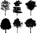 Isolated trees 18. Silhouettes