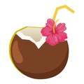 Isolated tropical cocktail on coconut sketch icon Vector
