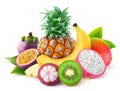 Isolated tropical fruits Royalty Free Stock Photo