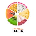 Isolated tropical fruits segments in a circle Royalty Free Stock Photo