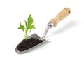 Isolated trowel and seedling