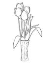 Isolated tulip flowers bouquet with leaves in vase in black and white colors Royalty Free Stock Photo