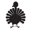 Isolated turkey icon