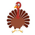 Isolated turkey icon