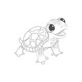 Isolated turtle draw animated animals vector illustration