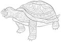 Adult coloring book,page a cute turtle image for relaxing.Zen art style illustration for print.