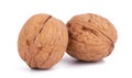 Isolated two wallnuts on white background close up