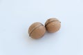 Isolated two walnuts on white background closeup Royalty Free Stock Photo
