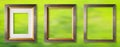 Isolated Vintage Empty Picture Gold Wood Frame For Interior Wall Decoration On Green Background