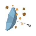 Isolated umbrella invested with autumn leaves