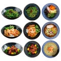 Isolated variety of asian japanese dishes collage Royalty Free Stock Photo