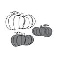 Isolated vector black and white illustration of decorative lined set of grey silhouettes of pumpkins