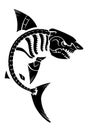 Shark Skeleton Design, Marine Predator Illustration