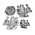 Isolated vector design set of silhouettes lined decorative abstract flowers on white background Royalty Free Stock Photo