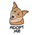 Isolated vector drawing of a dog. Funny brown dog, with the inscription Adopt me. Royalty Free Stock Photo