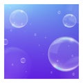 Realistic High Quality Bubbles Soap on Colored Background Royalty Free Stock Photo