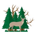 Isolated vector illustartion with a deer in a forest Royalty Free Stock Photo