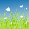 Seamless grass silhouette Royalty Free Stock Photo