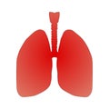 Isolated vector illustration of human lungs. lung organ anatomical symbol for health and medical illustrations