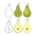 Isolated vector illustration pears set. Royalty Free Stock Photo