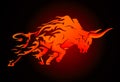 Bull Raging Run Fury in Flames Royalty Free Stock Photo