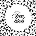 Round frame of flying birds. Vector illustration