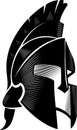 Spartan Helm Calligraphic Angled View