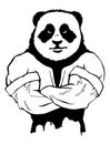 Isolated vector illustration a strong wilIsolated vector illustration a strong wild panda- man.d panda- an