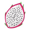 Dragon fruit. Half of the cut fruit. Isolated vector illustration on white background. Royalty Free Stock Photo