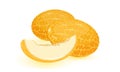 Isolated vector image shows ripe orange melon with slice