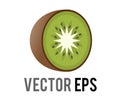 Vector kiwi fruit icon with fuzzy, brown skin, green flesh, white core, black seeds