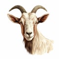 Isolated Vector Painting Of Goat Head In Light White And Brown Style