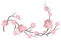 Isolated vector set of abstract colorful branch with blossoming sakura flowers Royalty Free Stock Photo