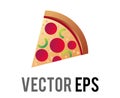 Isolated vector slice of pepperoni pizza food icon