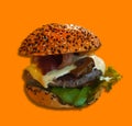 Isolated vectored burger Royalty Free Stock Photo