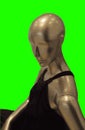 Isolated vectored mannequin