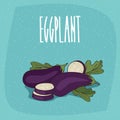 Isolated vegetable fruits aubergine or eggplant Royalty Free Stock Photo