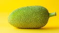 Isolated Vibrant Jackfruit Close Up on Rough Texture of Exotic Tropical Fruit on Yellow Background Royalty Free Stock Photo