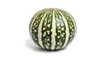 Isolated view of a round striped squash with green and white markings on a white background surface Royalty Free Stock Photo