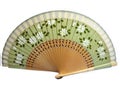 Isolated vintage celluloid green decorative hand fan