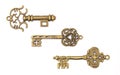 Isolated vintage and rustic keys showing privacy concept Royalty Free Stock Photo