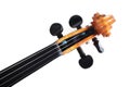 Isolated violin scroll Royalty Free Stock Photo