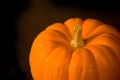 Isolated Virgin Halloween Pumpkin Royalty Free Stock Photo