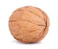 Isolated wallnut on white background close up