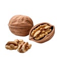 Isolated walnut next to a couple of peeled walnuts on a cutout PNG transparent background. Generative AI
